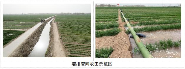 甯傛斂绠＄綉闃叉睕鎺掓稘鏂规,鎺掓按闃叉稘缁煎悎娌荤悊宸ョ▼