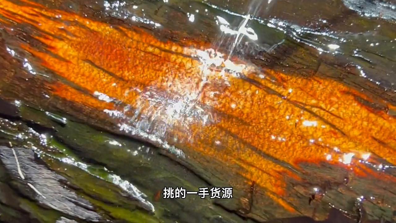 最老料紫檀,5万拿下翡翠原石