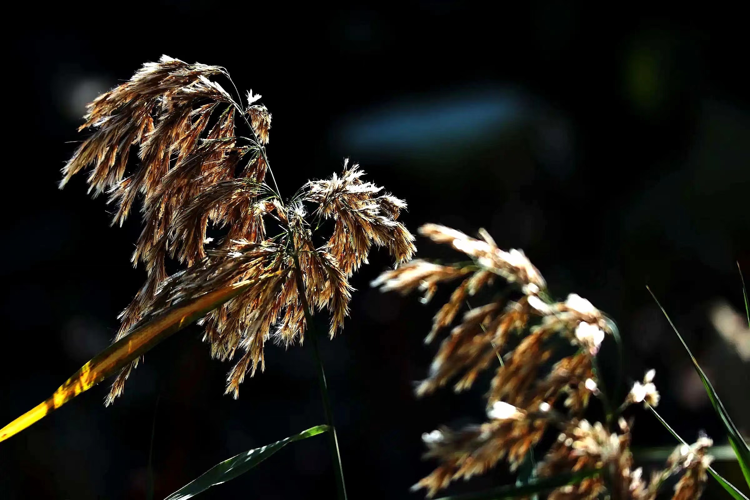 我的前半生磕磕碰碰,我的前半生怎么拼过来的