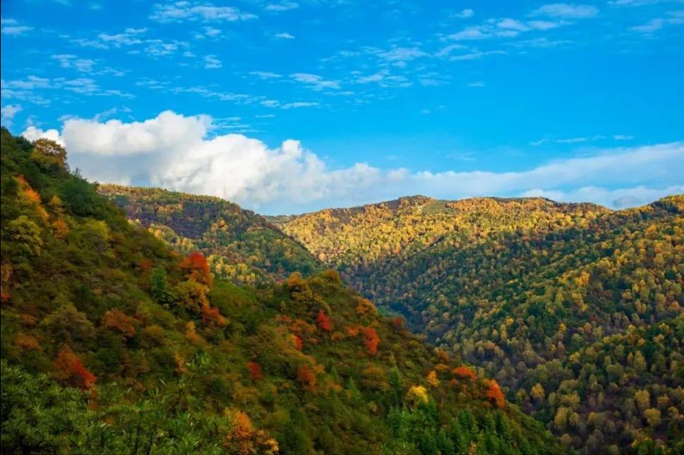 庄浪方言妹妹怎么说,甘肃庄浪方言你真好看