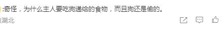 大韩美食征服天下!韩餐全球宣传片惨变笑话:白人吃草黑人舔筷