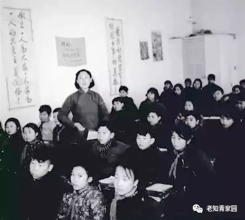 50年代的少年,50年代的人成长经历