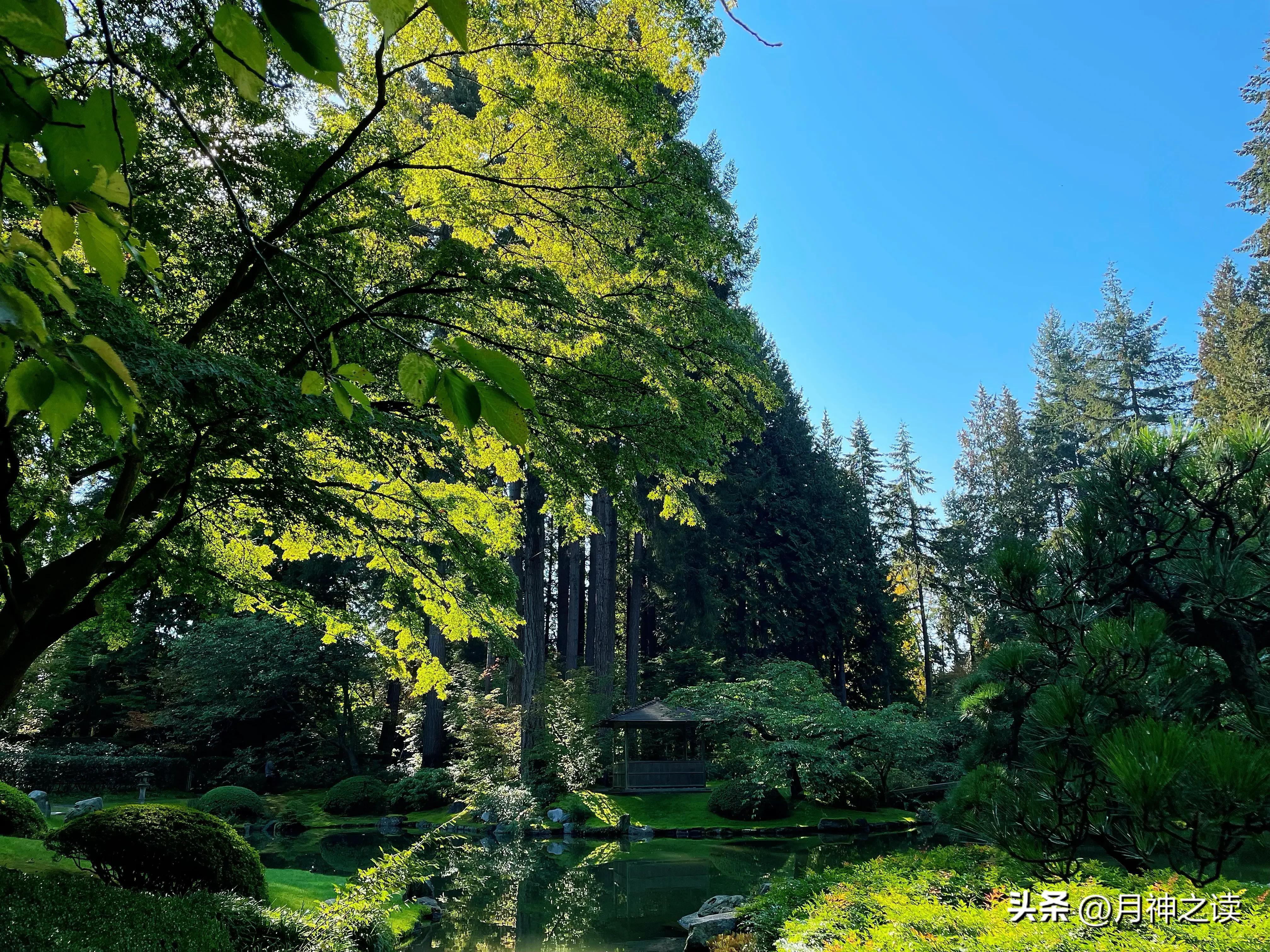 鑸掓浖妫灄鎯呮櫙,妫灄鎯呮櫙鑸掓浖闅惧害