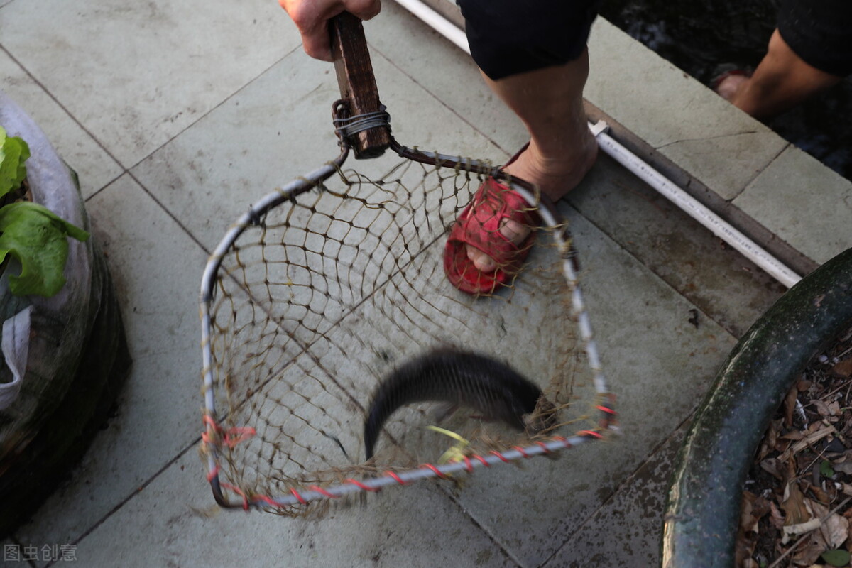 初二回娘家送礼送几样,回娘家送礼送几样有讲究