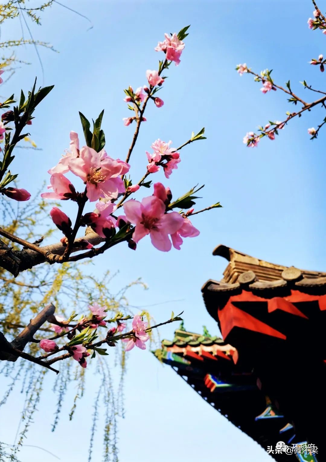 开封清明上河园100元,开封清明上河园双人旅游消费