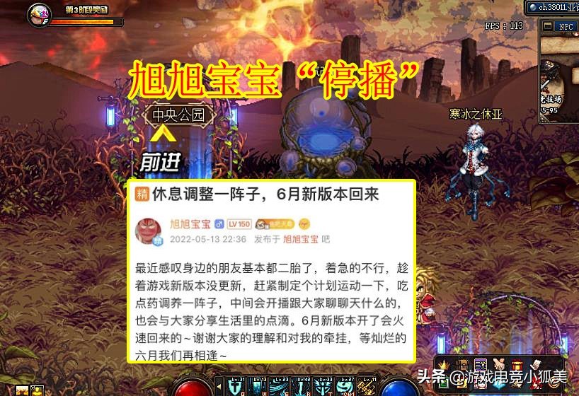 dnf旭旭宝宝人气票破纪录不开播,dnf旭旭宝宝确认将停播游戏推荐