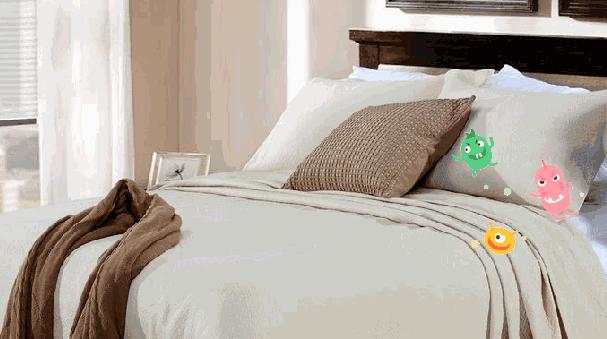 被子有异味不用洗不用晒教你一招,被子盖久了有异味教你一招除异味