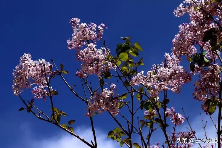 带你了解神秘的青海,青海省冷知识