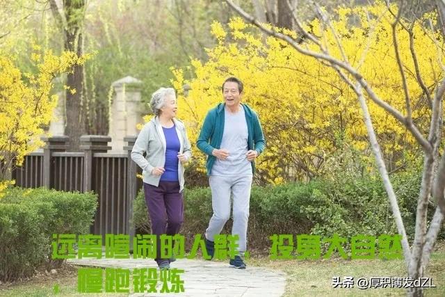 我的退休生活2020,我的退休生活小事情