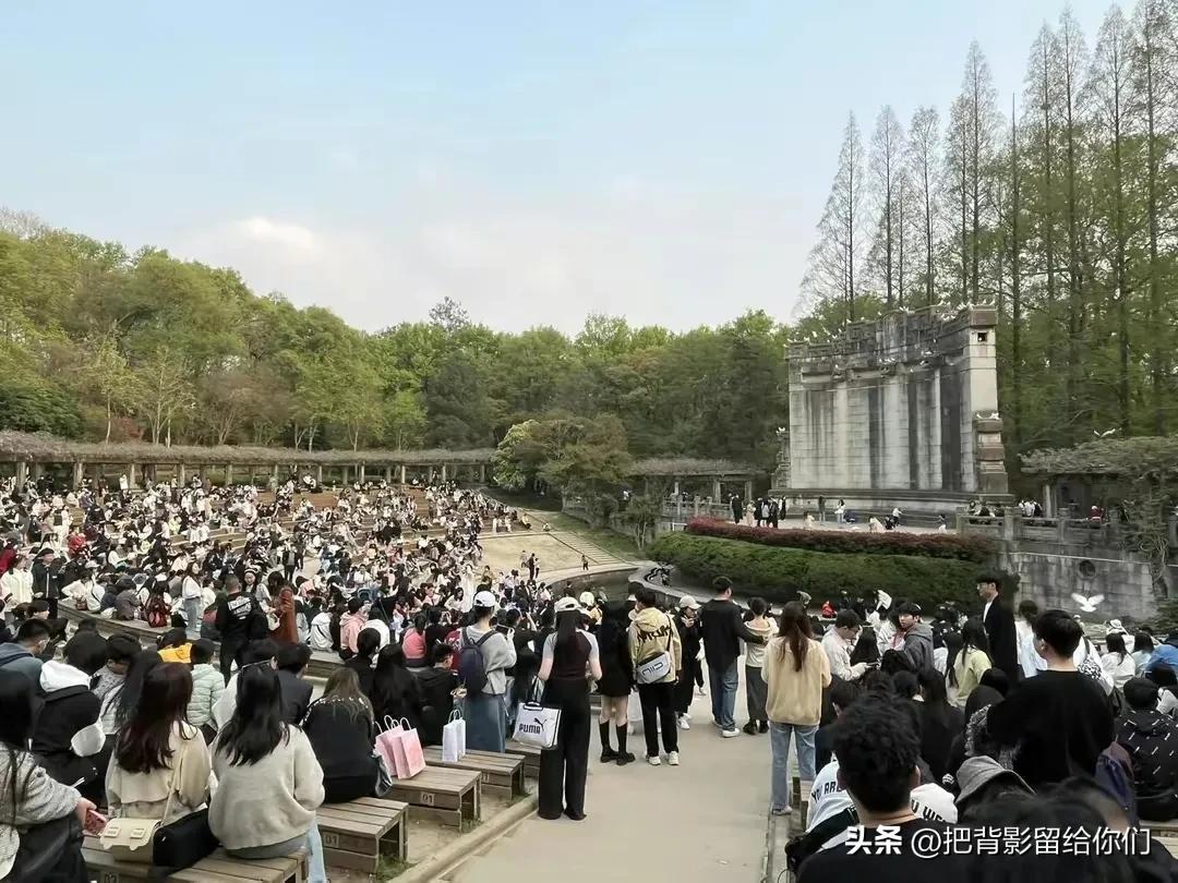 我的大南京，你这是怎么了？