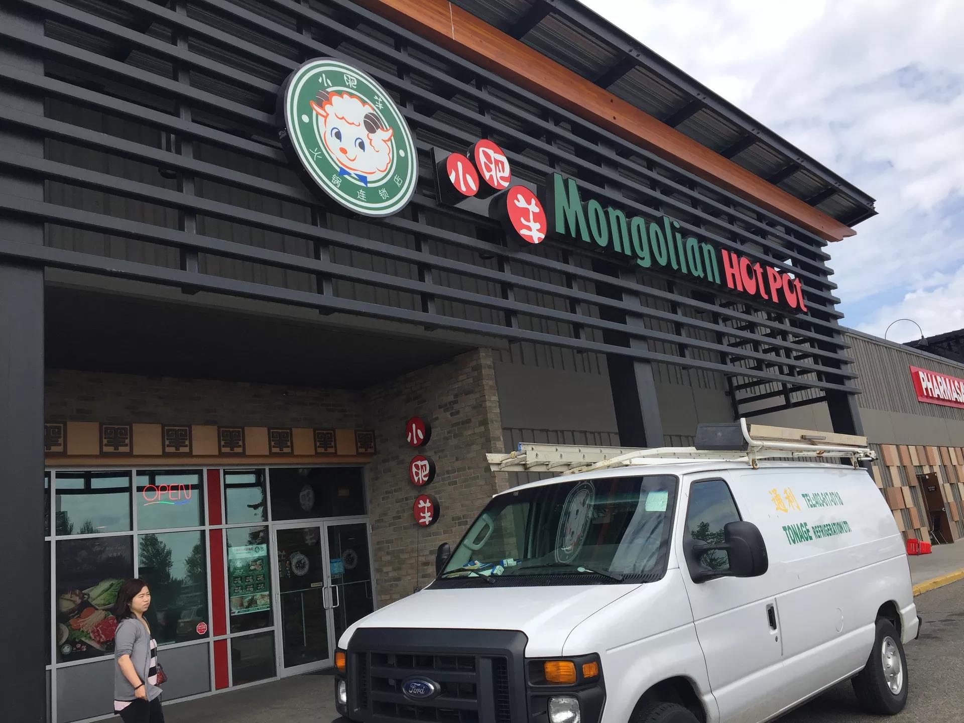 青岛如何带上猫猫去加拿大多伦多,钱猫猫加拿大之旅