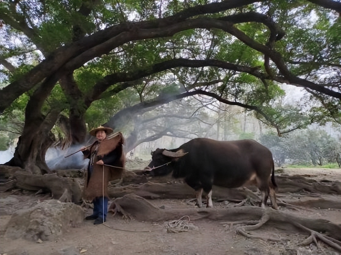 福建好玩的海边推荐,福建海岛旅游攻略自由行