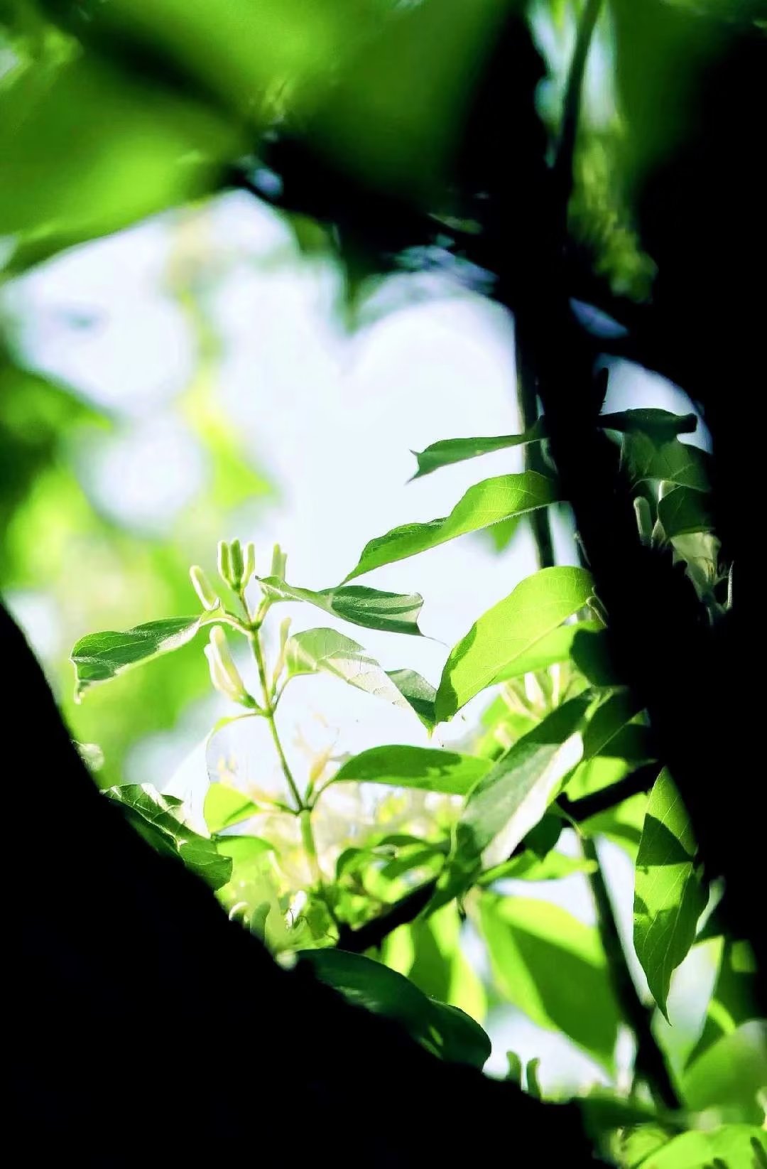 淇濇寔缇庡ソ蹇冩儏杩庢帴浜旀湀,浜旀湀瀵硅嚜宸辩殑缇庡ソ鏈熻