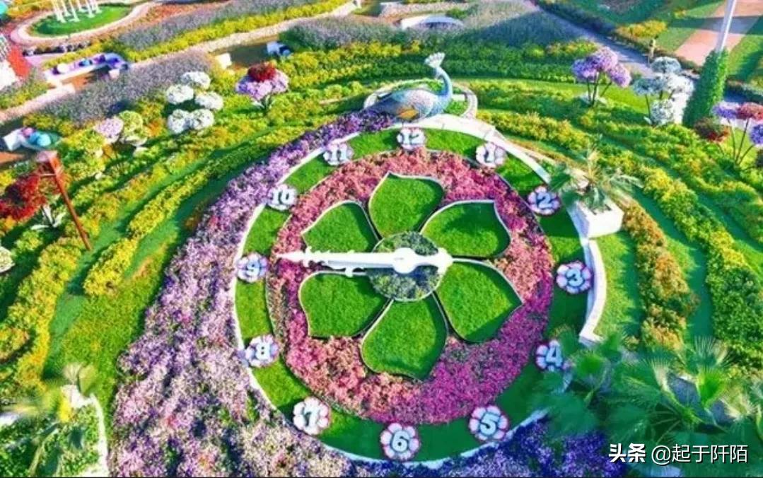 迪拜现状带你看看真实的迪拜,迪拜的真实现状纪录片