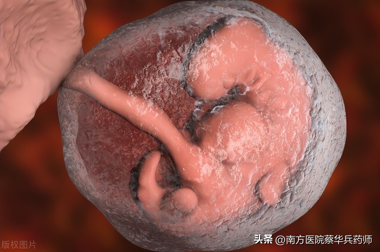 每个人的“第一件衣服”是补药:上益肺气，中养血气，下温肾气