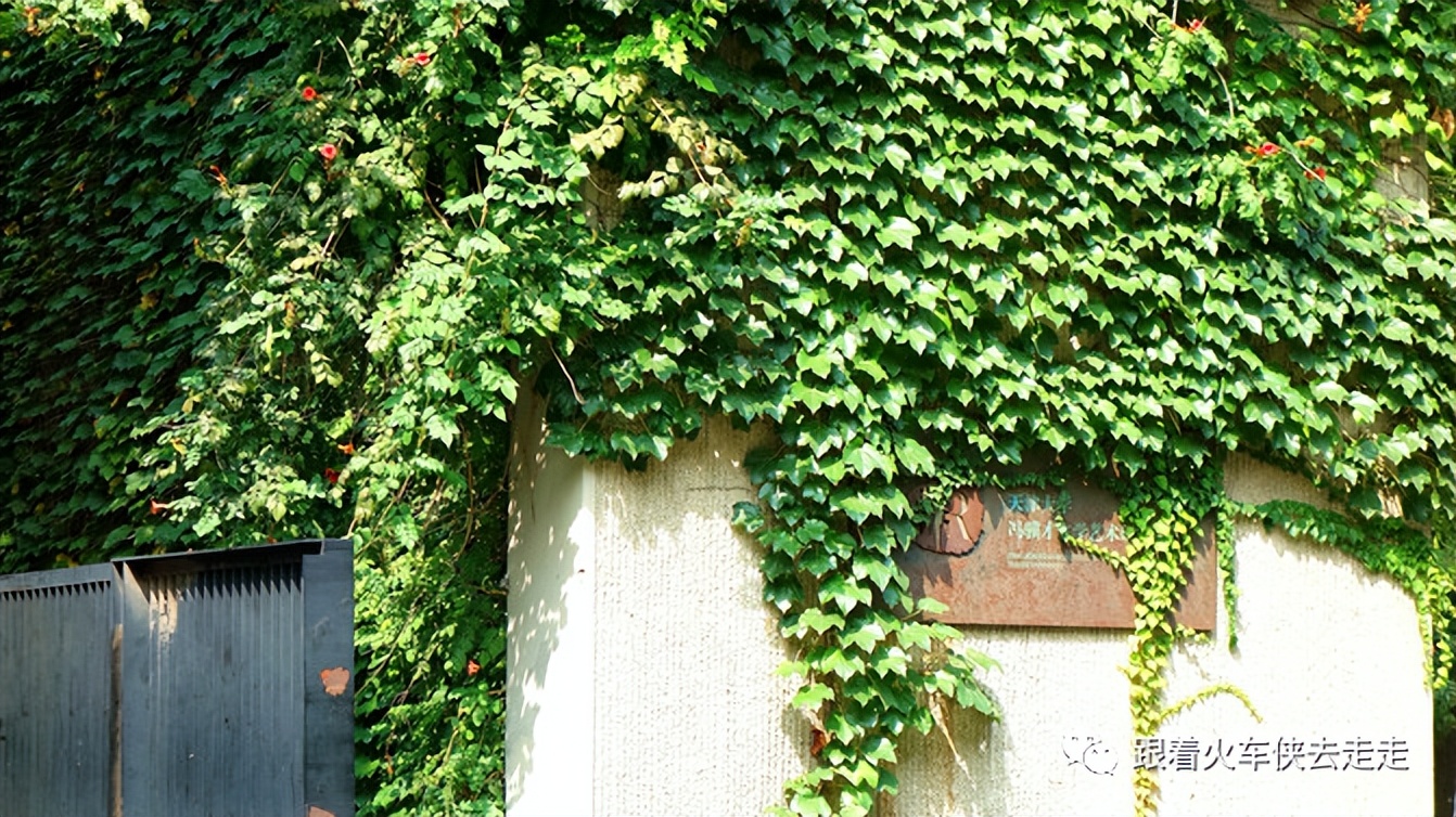 老天津读历史，新天津新全运（四）——天津大学（下）