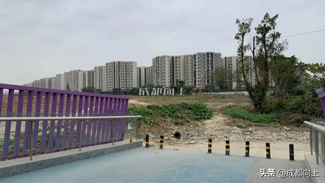 马家寺交通拥堵,双流马家寺现状