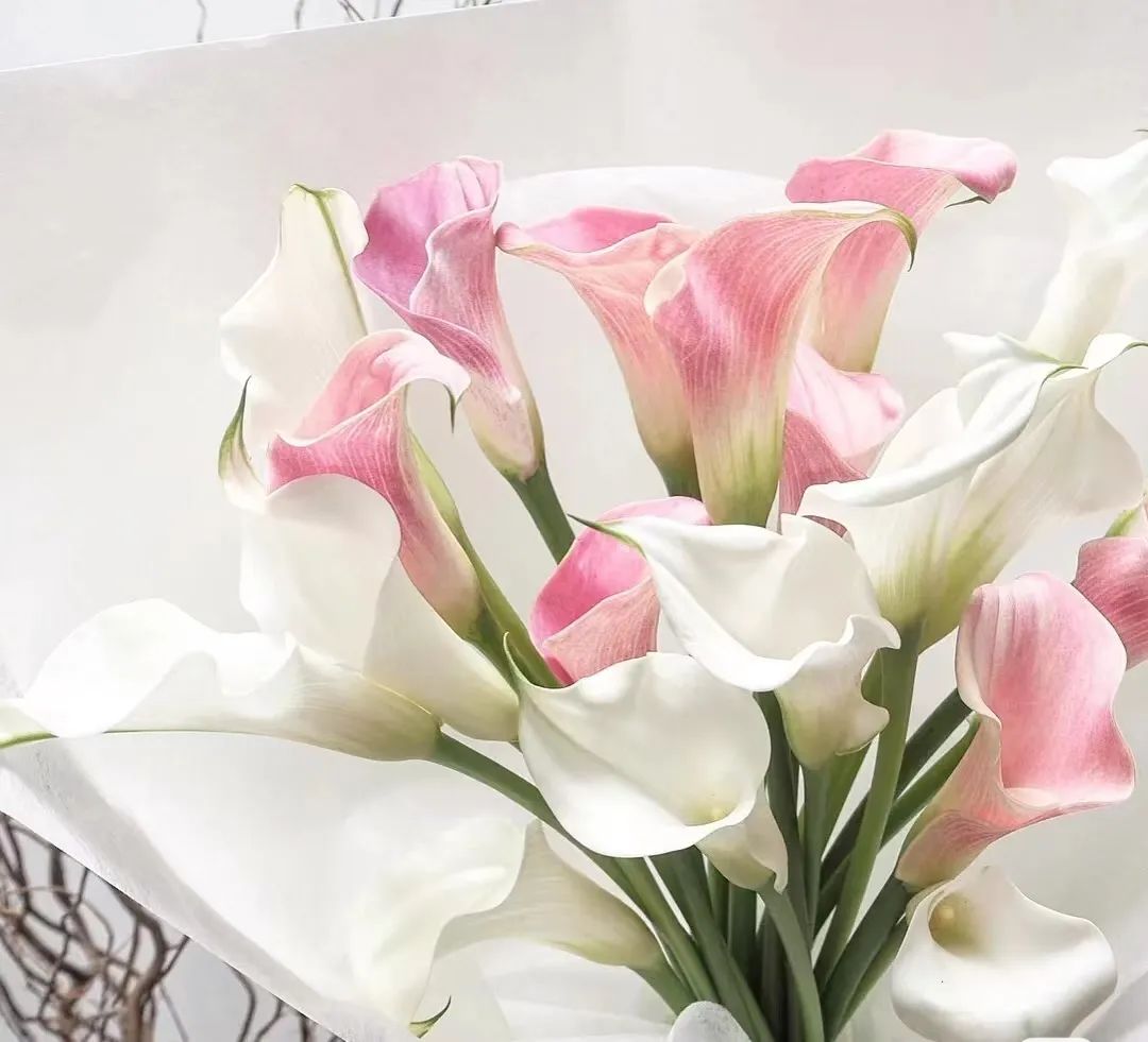 情人节送花送点酒,情人节送花不知道要送什么