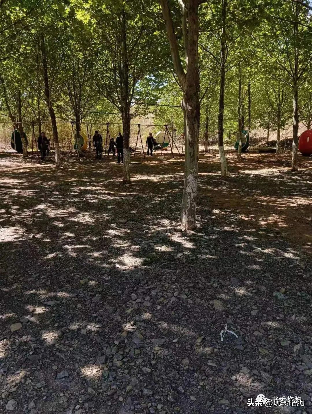 樱花谷无量山,樱花谷风景区