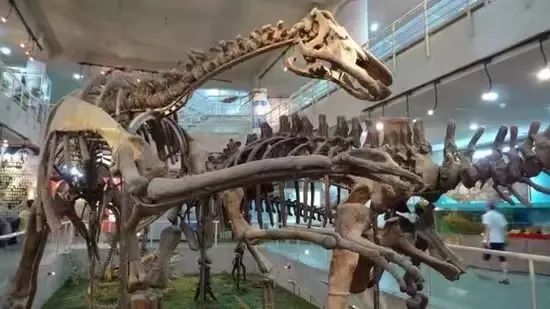 暑假去北京旅游指南攻略大全,暑期北京旅游攻略最新消息