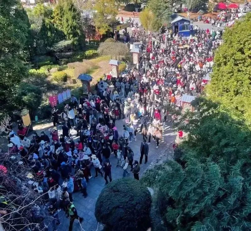 过年云南和四川对比,新年的云南和四川
