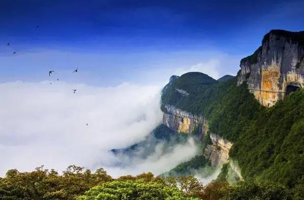重庆金佛山旅游全攻略,暑假重庆南川金佛山旅游攻略