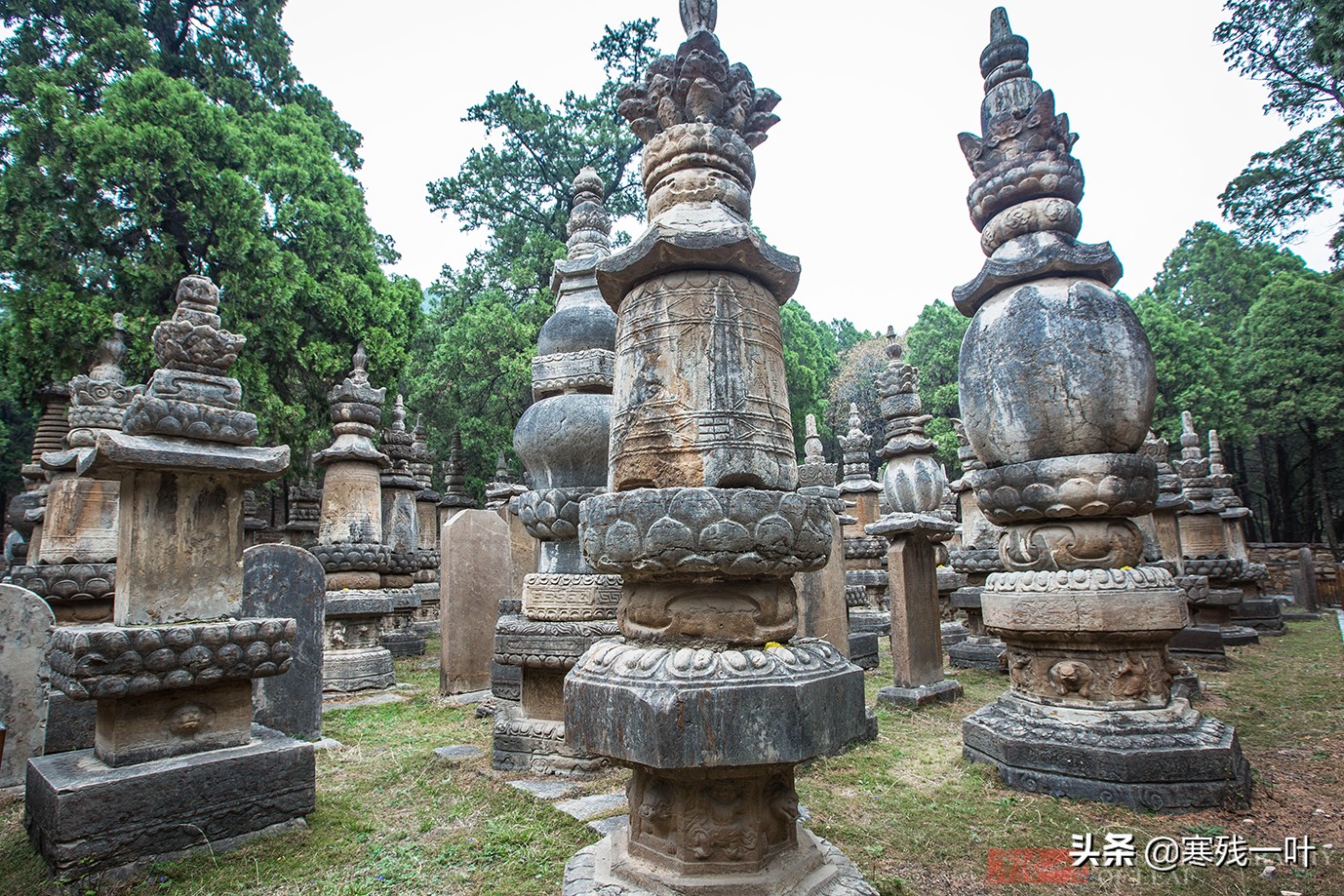 济南灵岩寺，有座国内最大也是唯一的石砌塔林，规模比少林寺更大