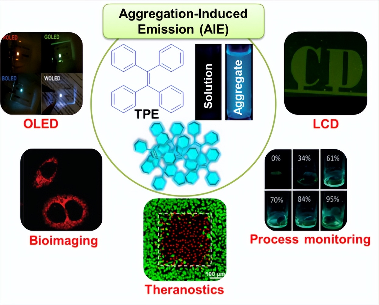 共轭聚合物的结构特点,共轭聚合物