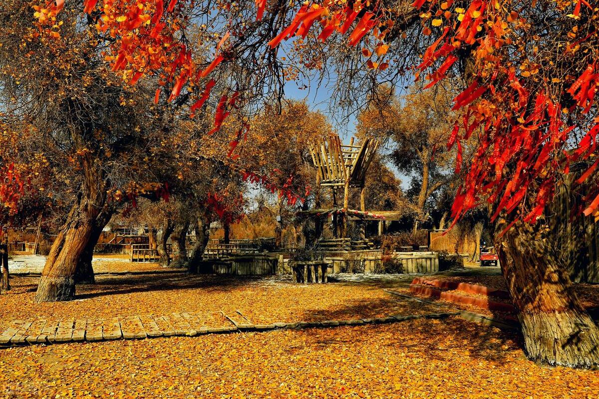 全新疆最美丽的地方,出疆旅游的地方有哪些