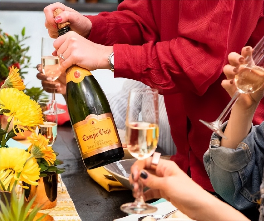 葡萄酒生产国有哪些,葡萄酒原产地哪个国家