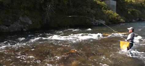 渔具知识科普,渔具产品了解