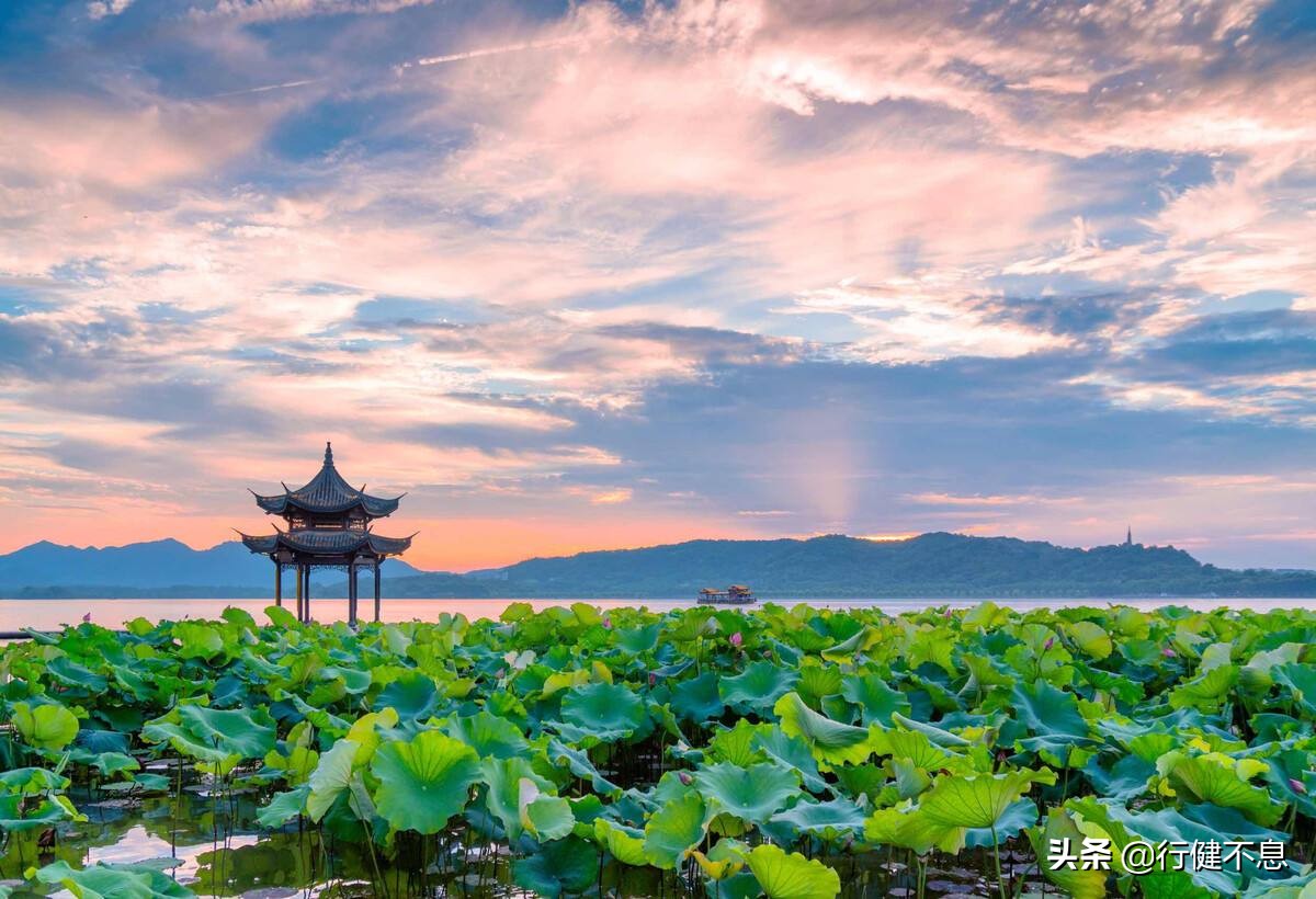 西湖荷花诗句古诗大全,荷花美景的诗句大全