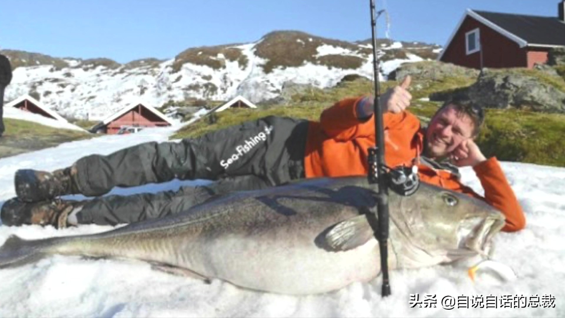 为什么买的鳕鱼段都是粘液,为什么买的鳕鱼那么多水