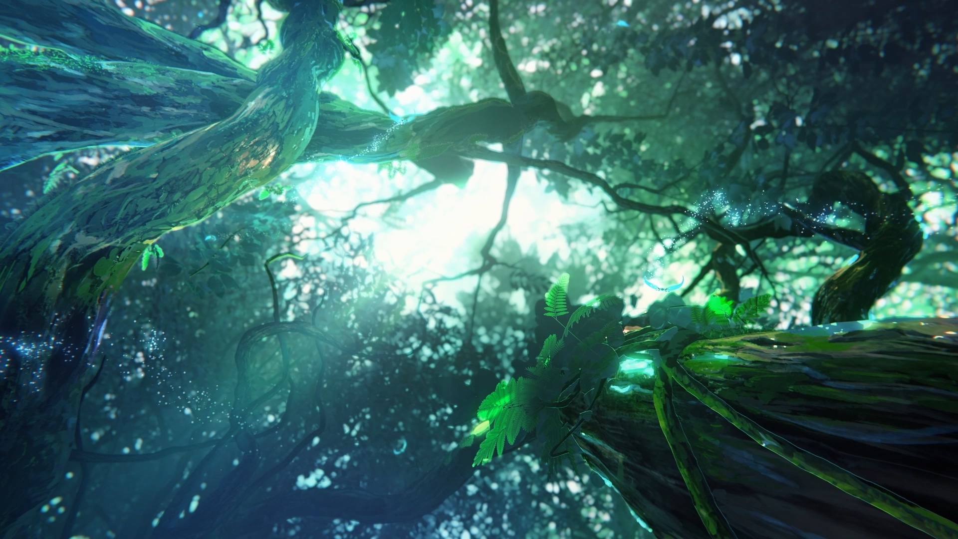 米哈游的原神动画,米哈游原神动画短片