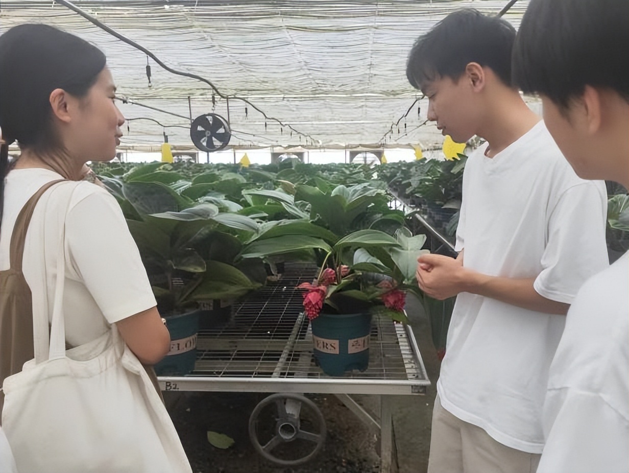 党建引领聚合力村企共建促增收,高校抓党建促乡村振兴