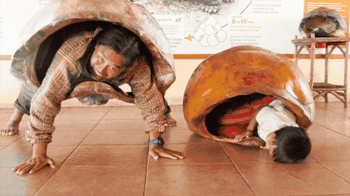 夫妻带着孩子环游世界,小夫妻花90万带娃环游世界