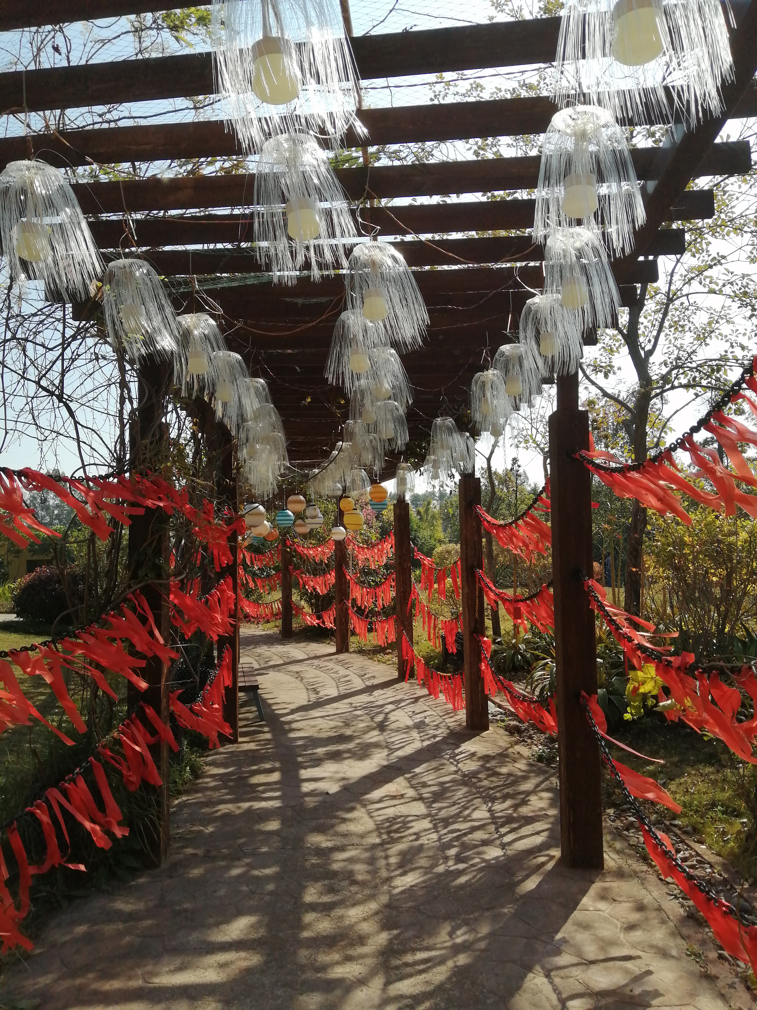 客天下(四):客天下田园花海CS战场山地车小朋友玩得乐不思蜀