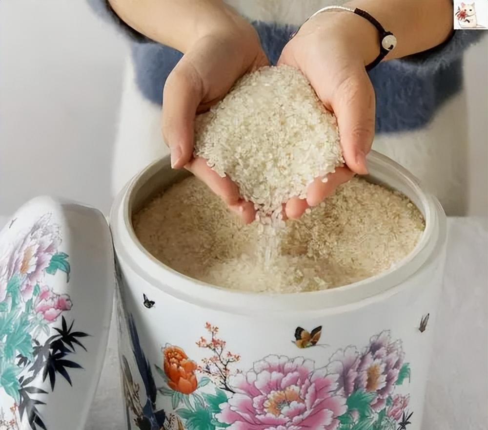 谷象的特征习性,农村谷堆的图片有吗