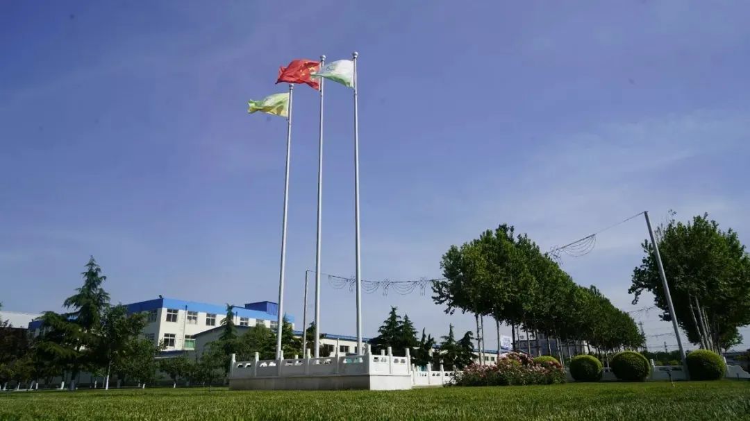 河北邢台金沙河员工,邢台金沙河集团员工