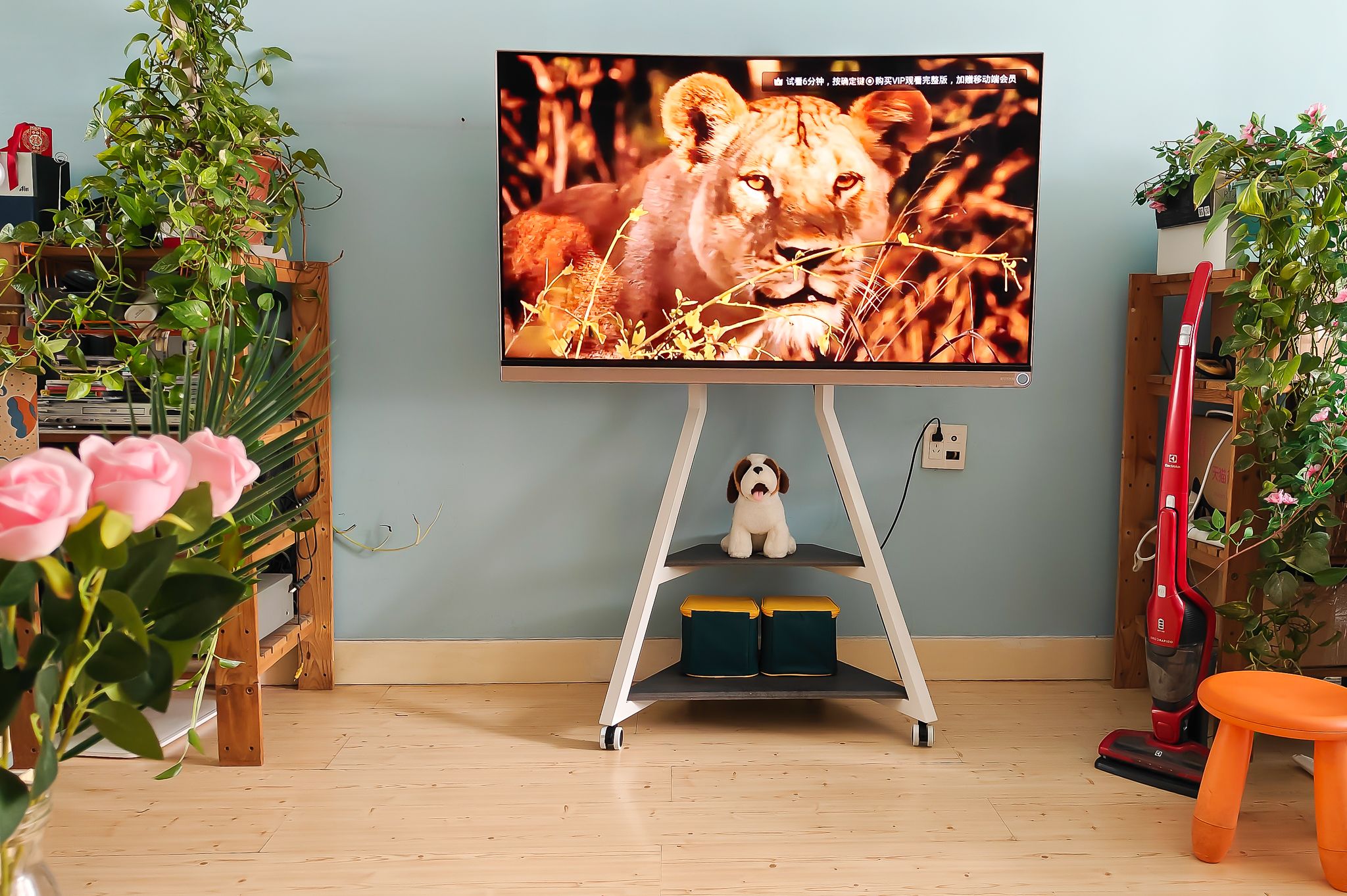 还在纠结电视用壁挂还是电视柜？有第三种方法！从此处处是C位