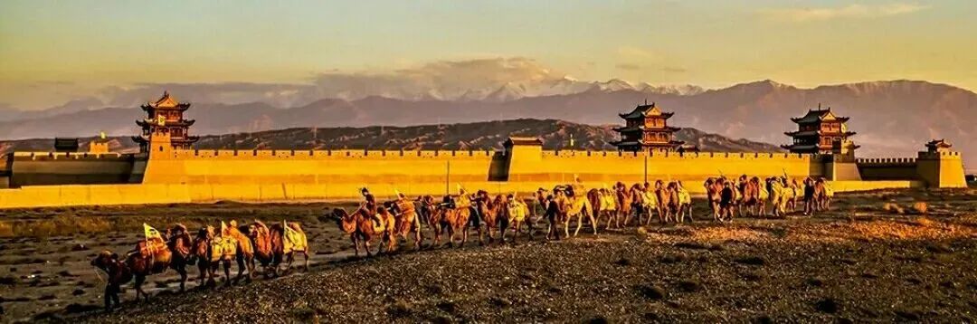 蒙古砖茶和西藏砖茶,为什么叫黑砖茶