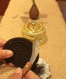 如何评价这个女主持人，主持了一半把*袜丝**脱了？