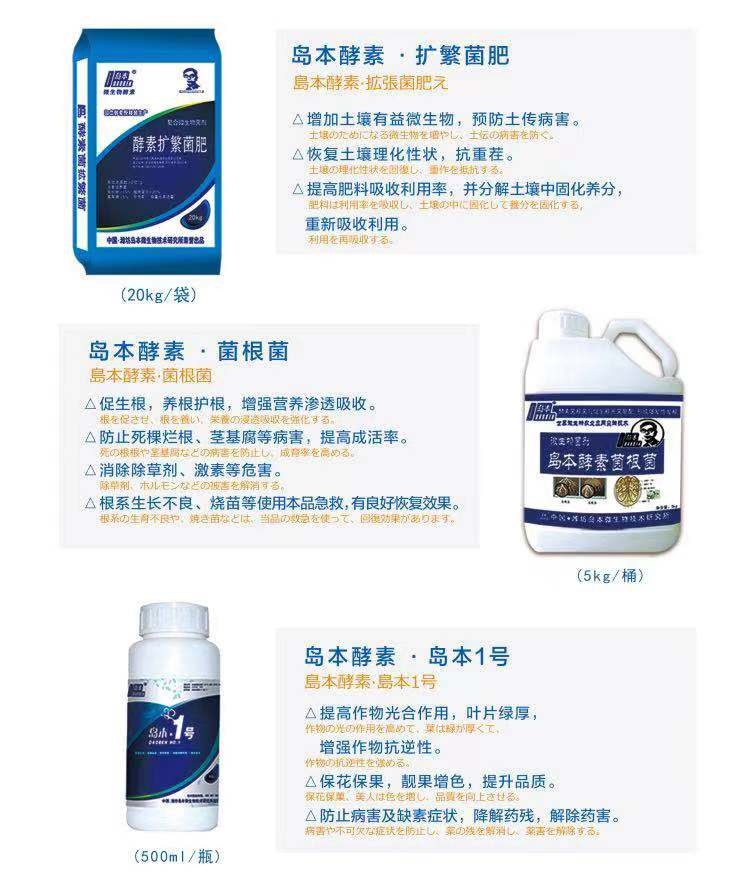 岛本酵素微生物肥料厂家,岛本酵素生物肥料