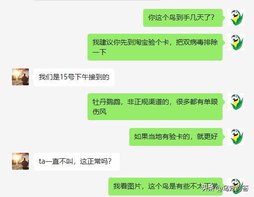 没办证的鹦鹉怎么处理呢,没有标识的鹦鹉会被没收吗
