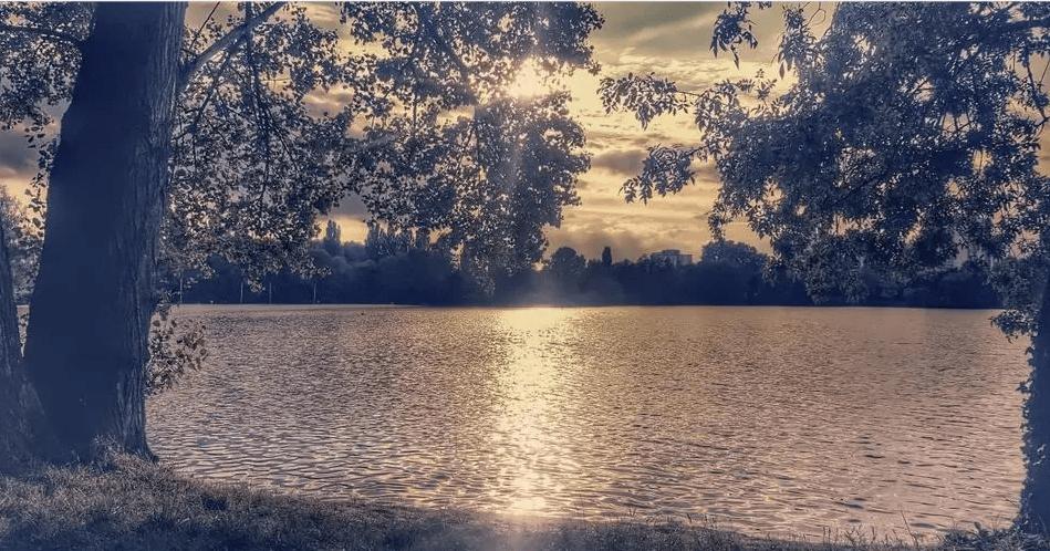 抖音小店食品经营许可证怎么办理,没有营业许可证怎么开通抖音小店