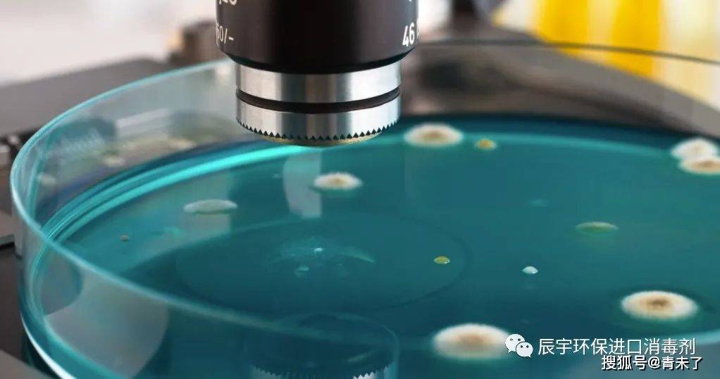 实验仪器消毒灭菌常用消毒方法！推荐实验室消毒用无残留杀孢子剂