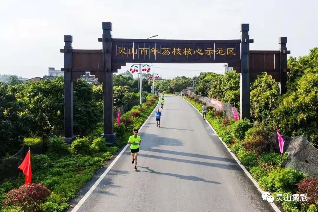 2020年灵山荔枝采摘地点,广西灵山荔枝现摘现吃