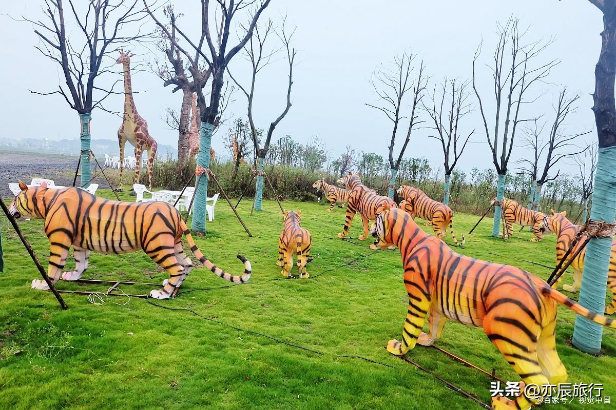 武汉周边避暑烧烤钓鱼,武汉周边避暑旅游景点推荐