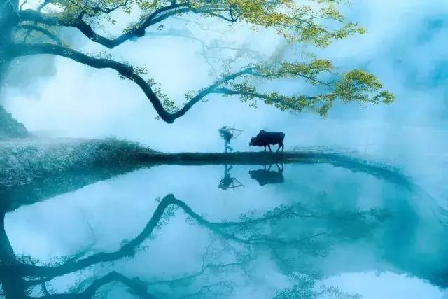 春到人间草木知立春诗词,十首立春诗词