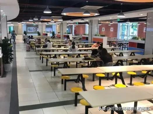 上海中医药大学，中医类排名全国第二，就业优势大前景好